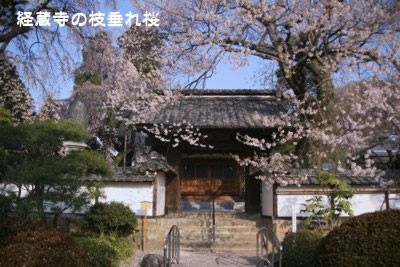 �o�����̎}�����