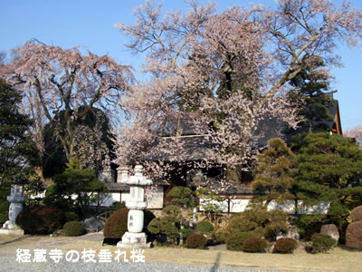 �o�����̎}�����