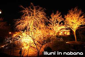 �Ȃ΂Ȃ̗��C���~�l�[�V����