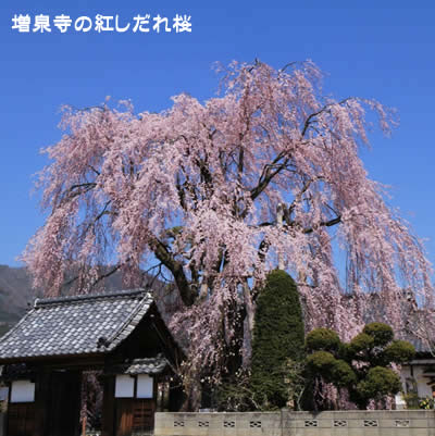 ���򎛂̍g�������