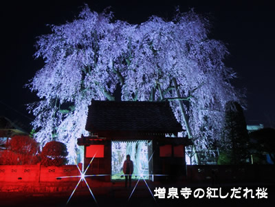 ���򎛂̍g�������